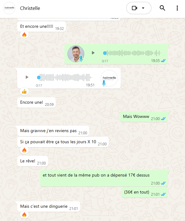 evolution chiffre affaires ecommerce